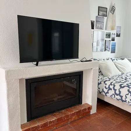 Sardine Sanctuary - The * フェレル