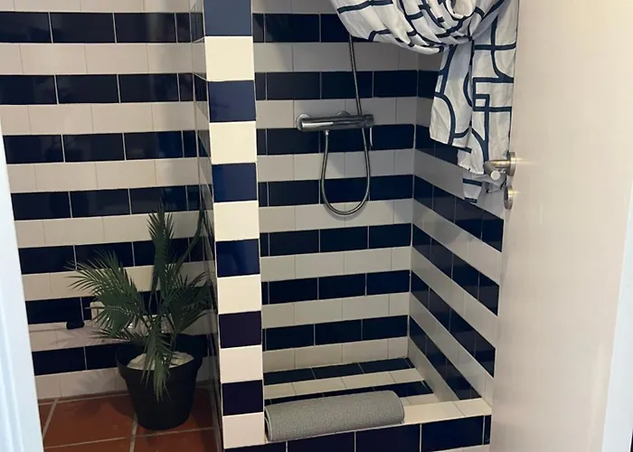 Sardine Sanctuary - The