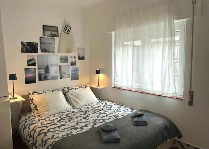 Sardine Sanctuary - The